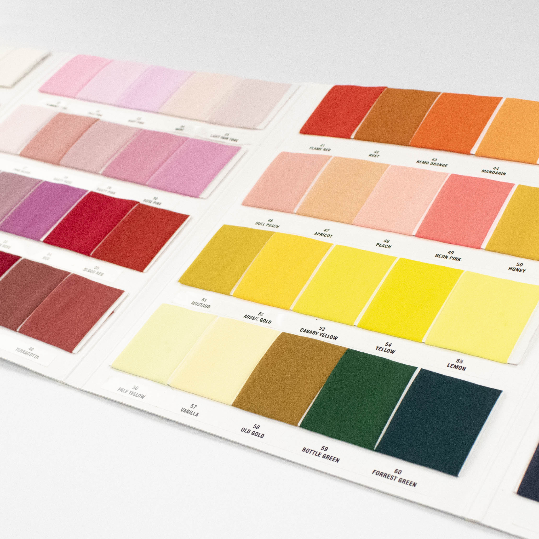 112cm Chiffon Sample Book