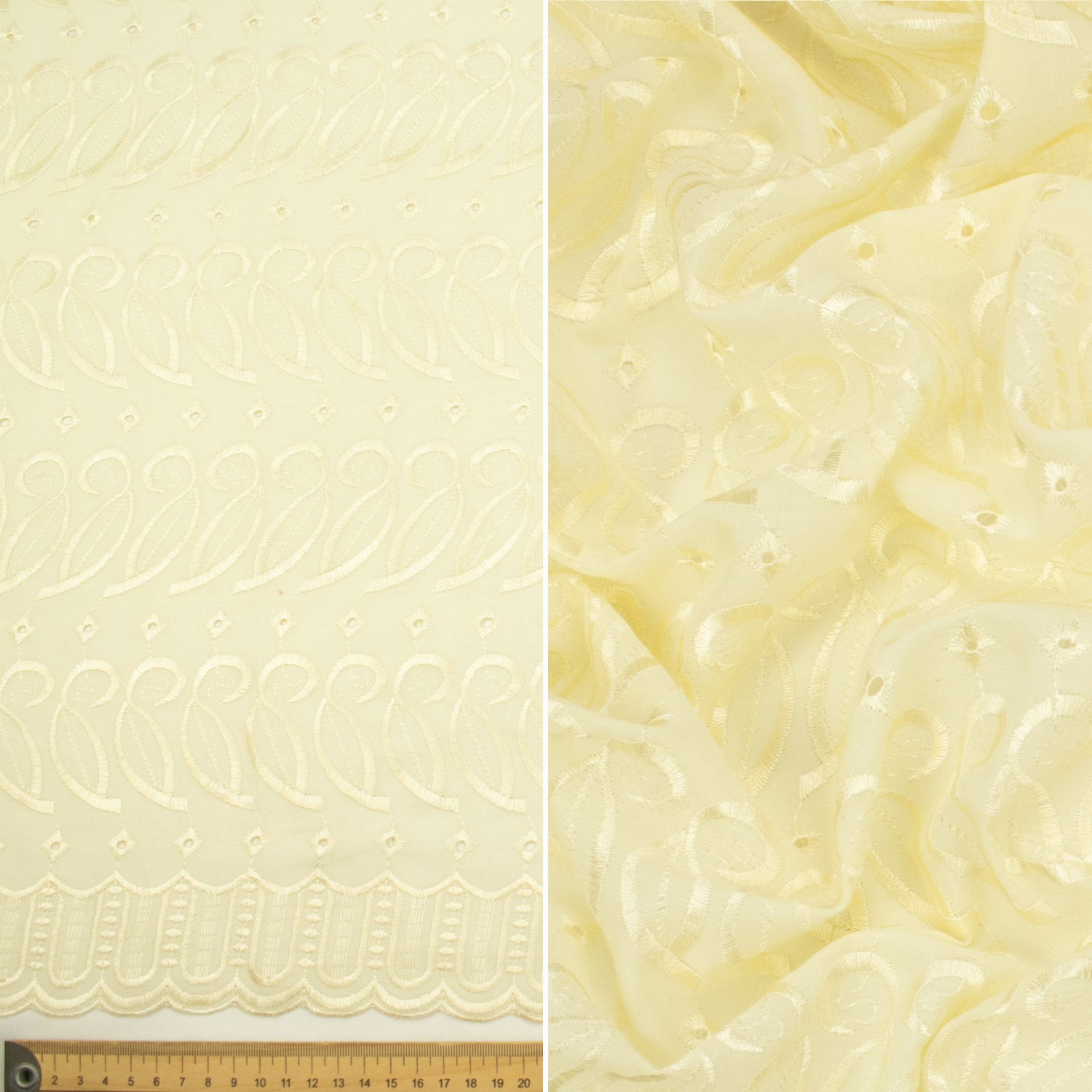 Embroidered Eyelet Cotton Anglaise Lace