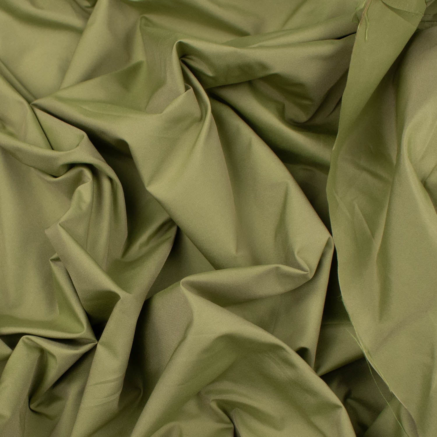 Explorer Plain Taffeta 320cm Wide