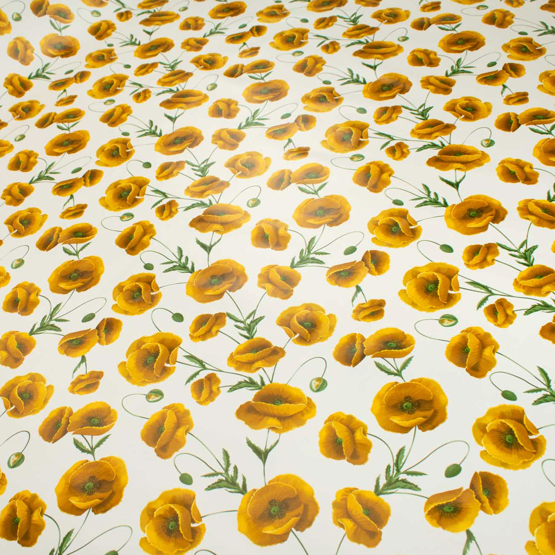 Orange Transvaal Daisy Plastic Tablecloth Fabric