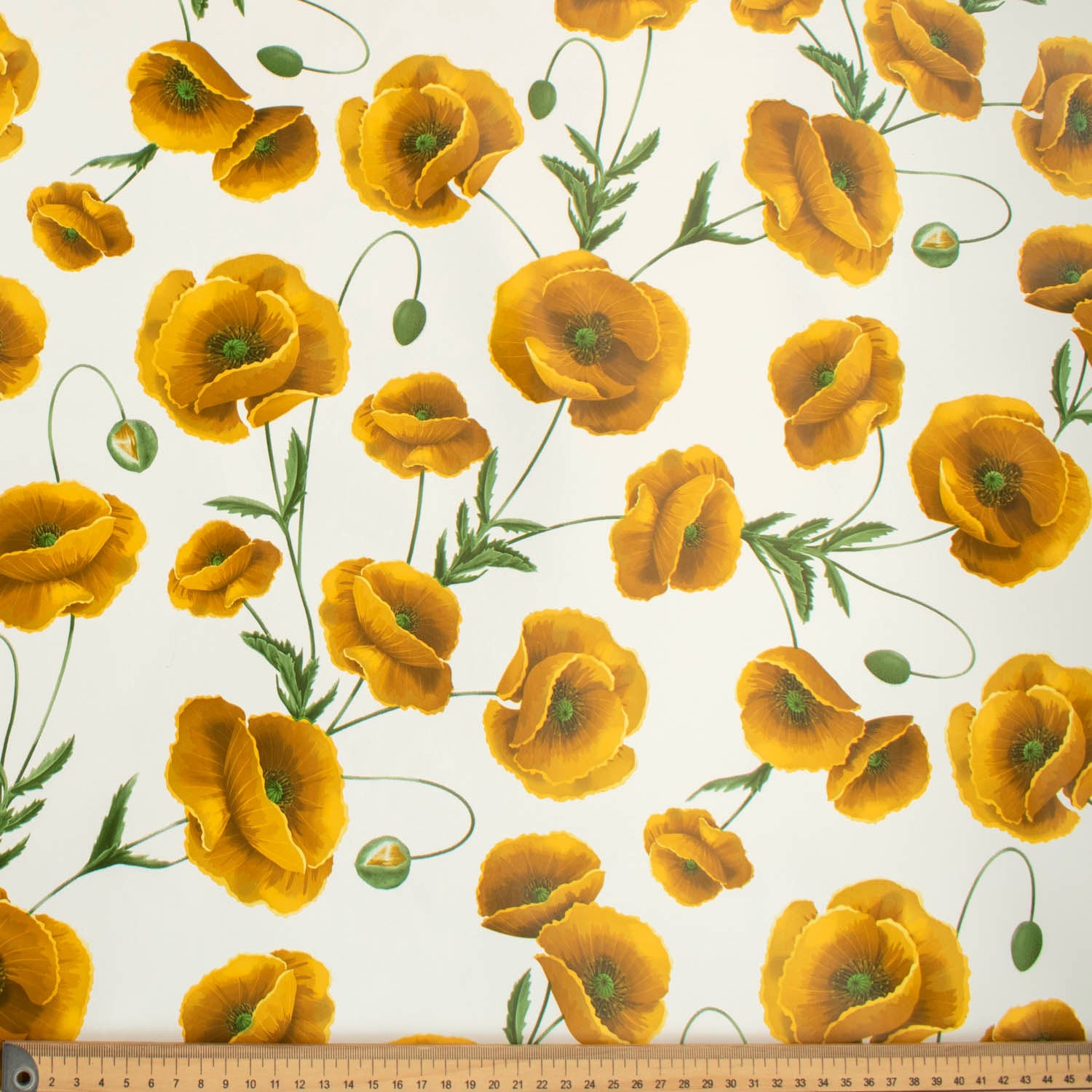 Orange Transvaal Daisy Plastic Tablecloth Fabric