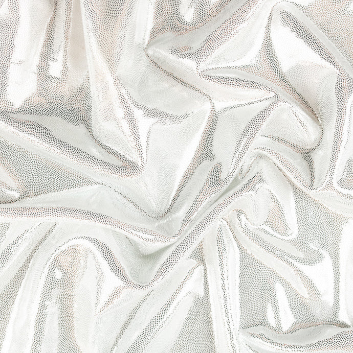 Fog Foil Holographic Nylon Lycra Sample Book