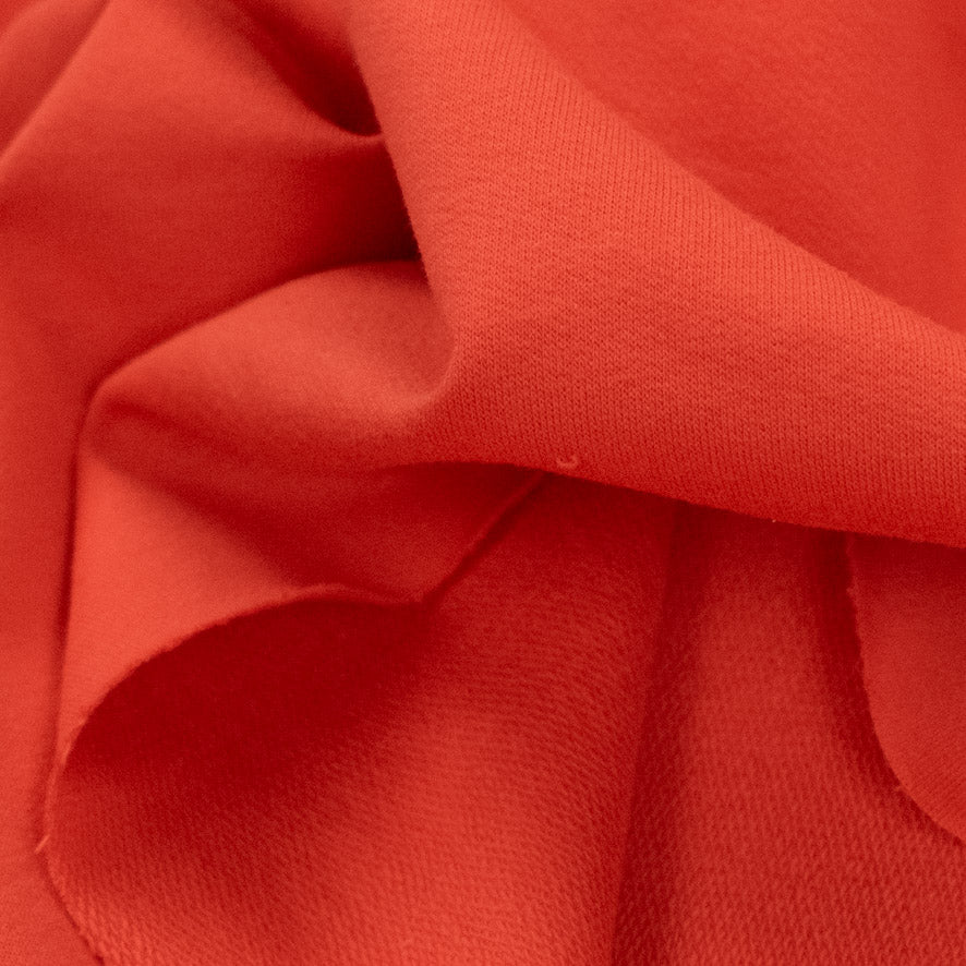 Cotton French Terry Knit Extra Wide