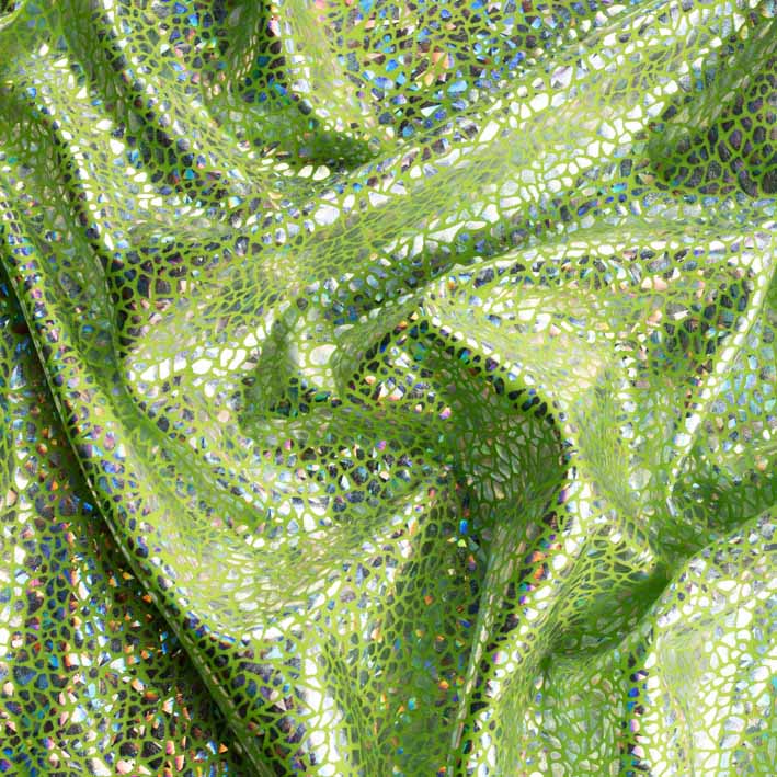 Avatar Holographic Nylon Lycra Sample Book