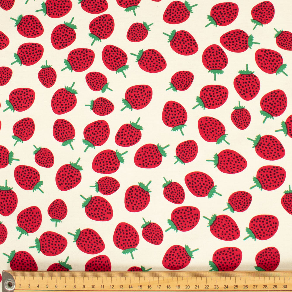 Printed Cotton Canvas - New Collection