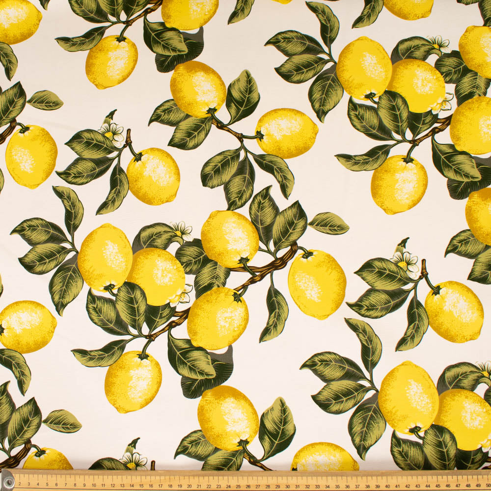 Printed Cotton Canvas - New Collection