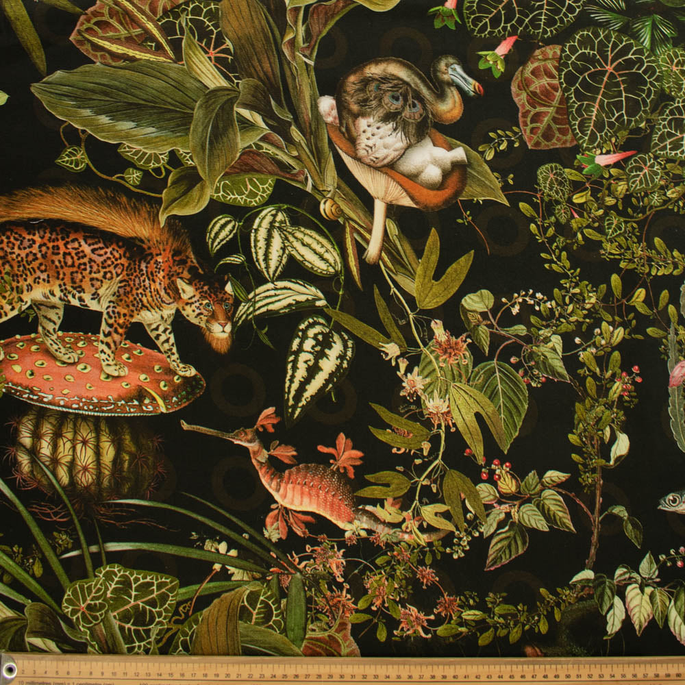 Printed Cotton Canvas - New Collection