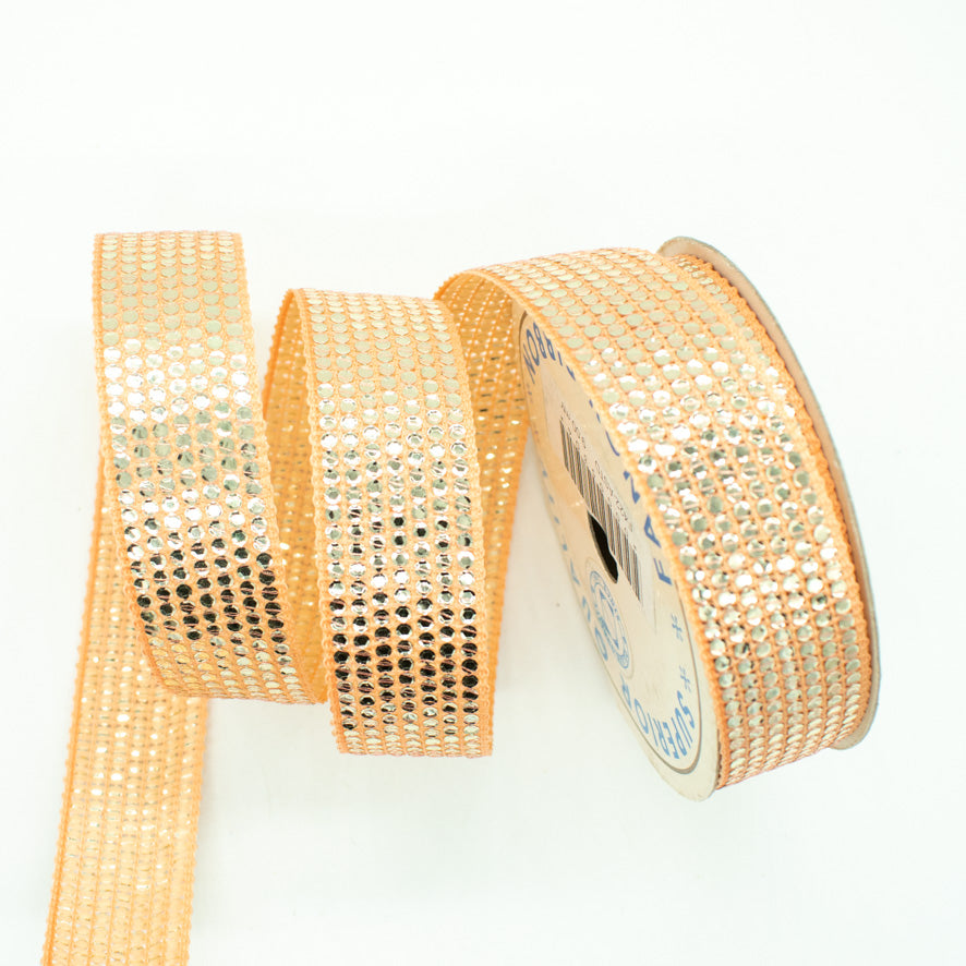 Sequins Embroidered Ribbon-25mm