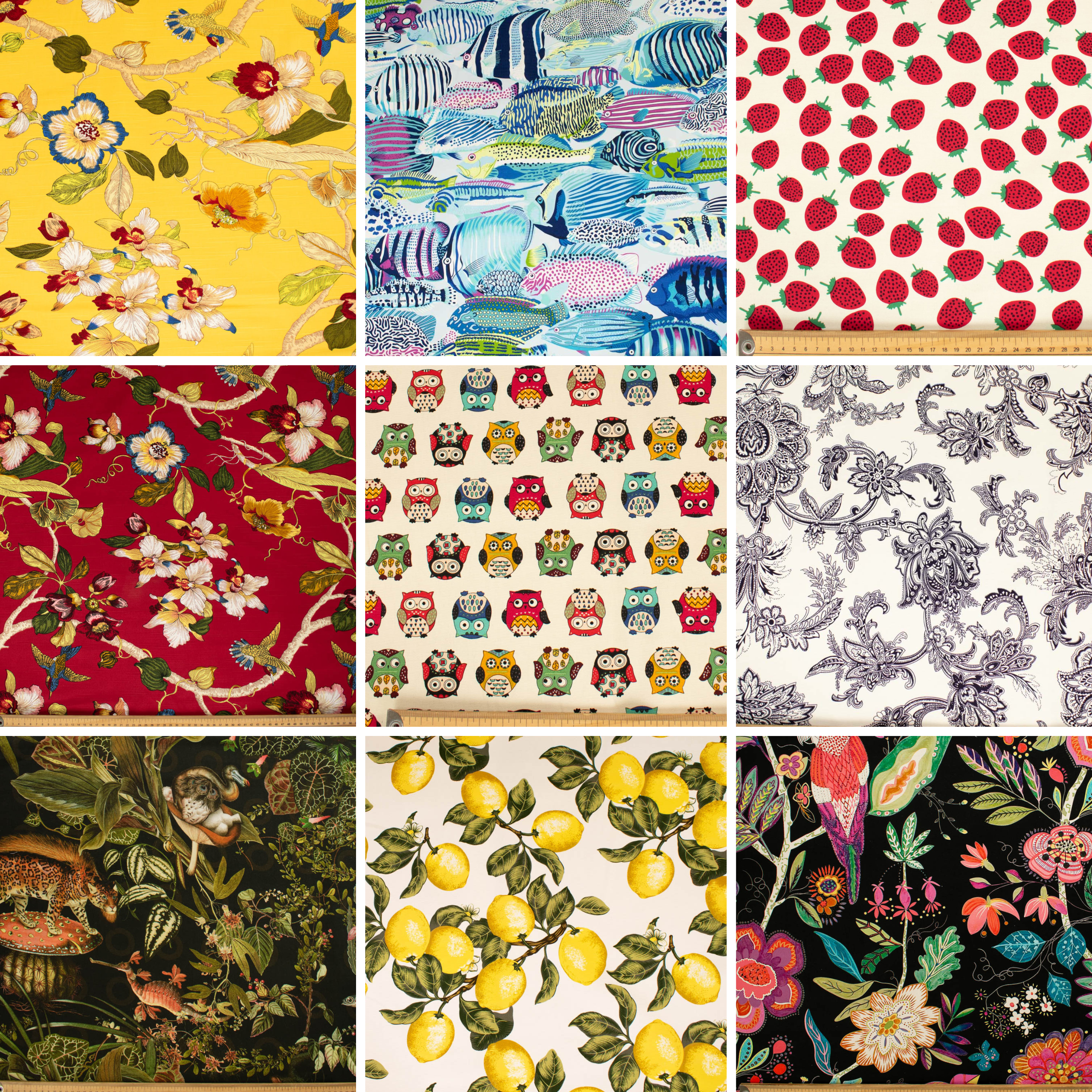 Printed Cotton Canvas - New Collection