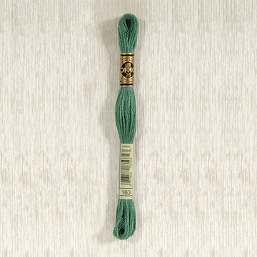 DMC Stranded Cotton Thread - Col 163