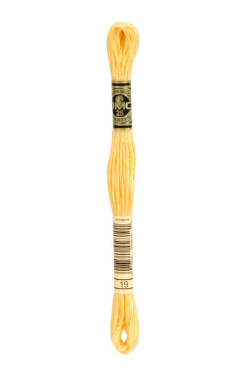 DMC Stranded Cotton Thread - Col 19