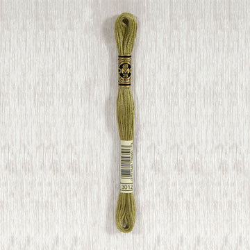 DMC Stranded Cotton Thread - Col 3012