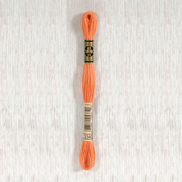 DMC Stranded Cotton Thread - Col 3340