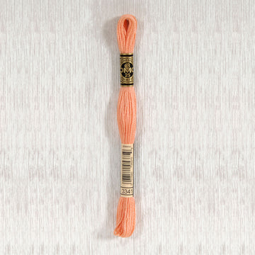DMC Stranded Cotton Thread - Col 3341