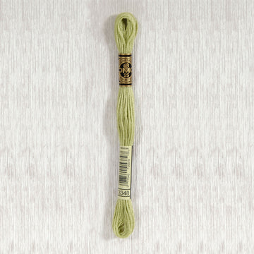 DMC Stranded Cotton Thread - Col 3348