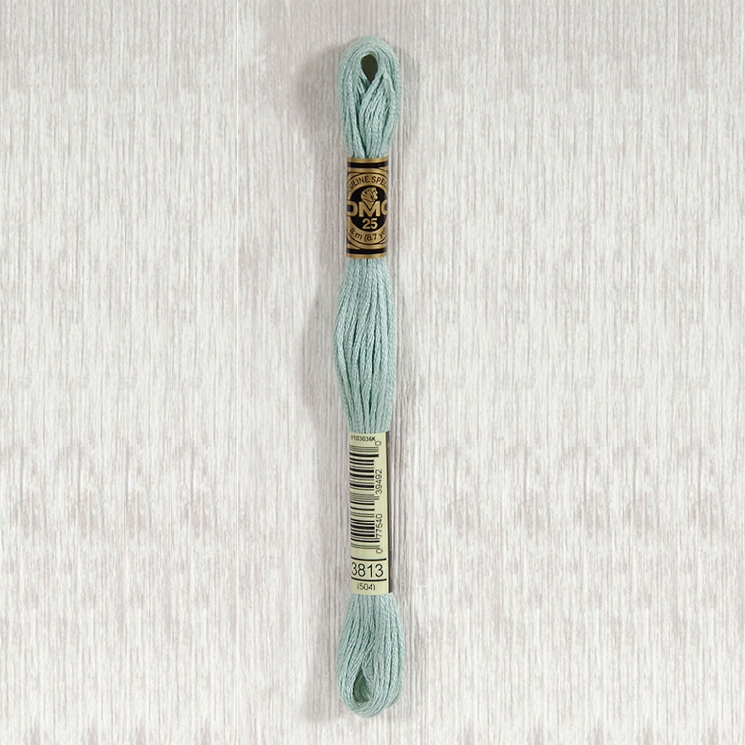 DMC Stranded Cotton Thread - Col 3813