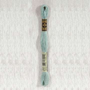 DMC Stranded Cotton Thread - Col 3813