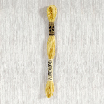 DMC Stranded Cotton Thread - Col 3822