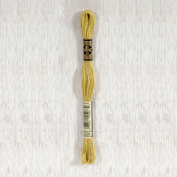DMC Stranded Cotton Thread - Col 834
