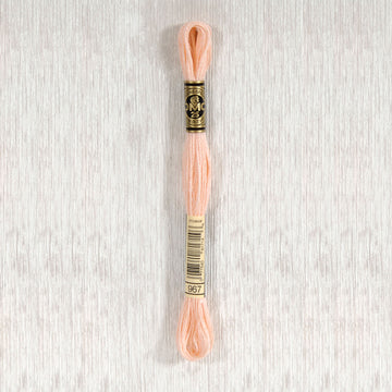 DMC Stranded Cotton Thread - Col 967