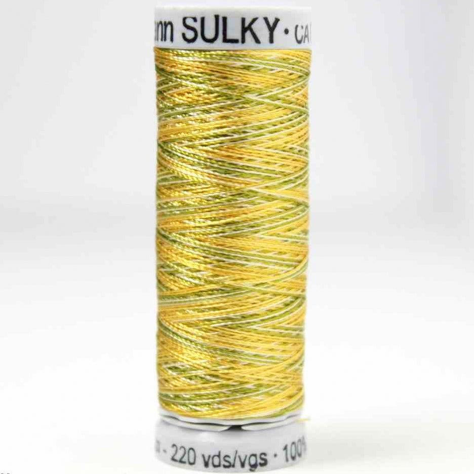 Gutermann Sulky Rayon 40 Machine Embroidery Thread 200M Collection 3