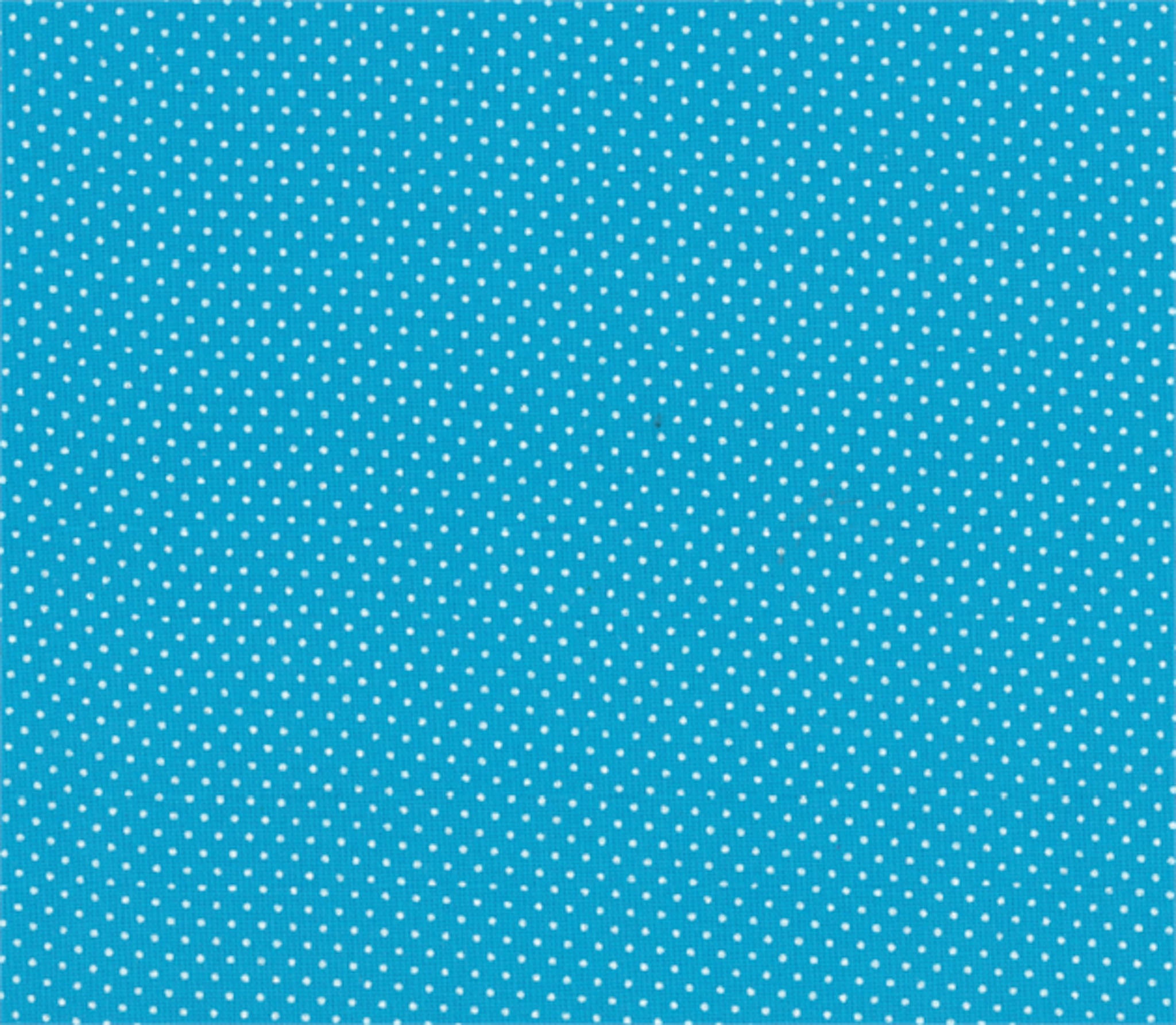 Micro Polka Dot Cotton Print