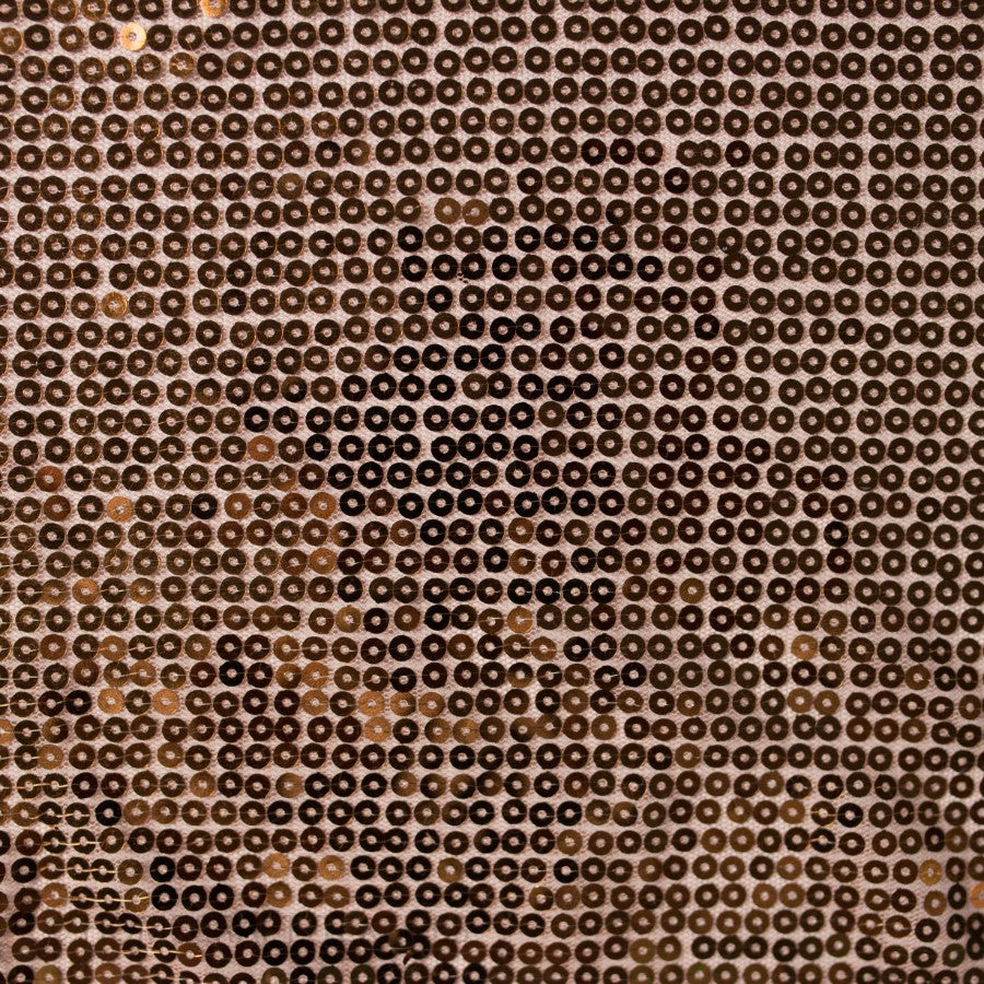 Sequins Fabric