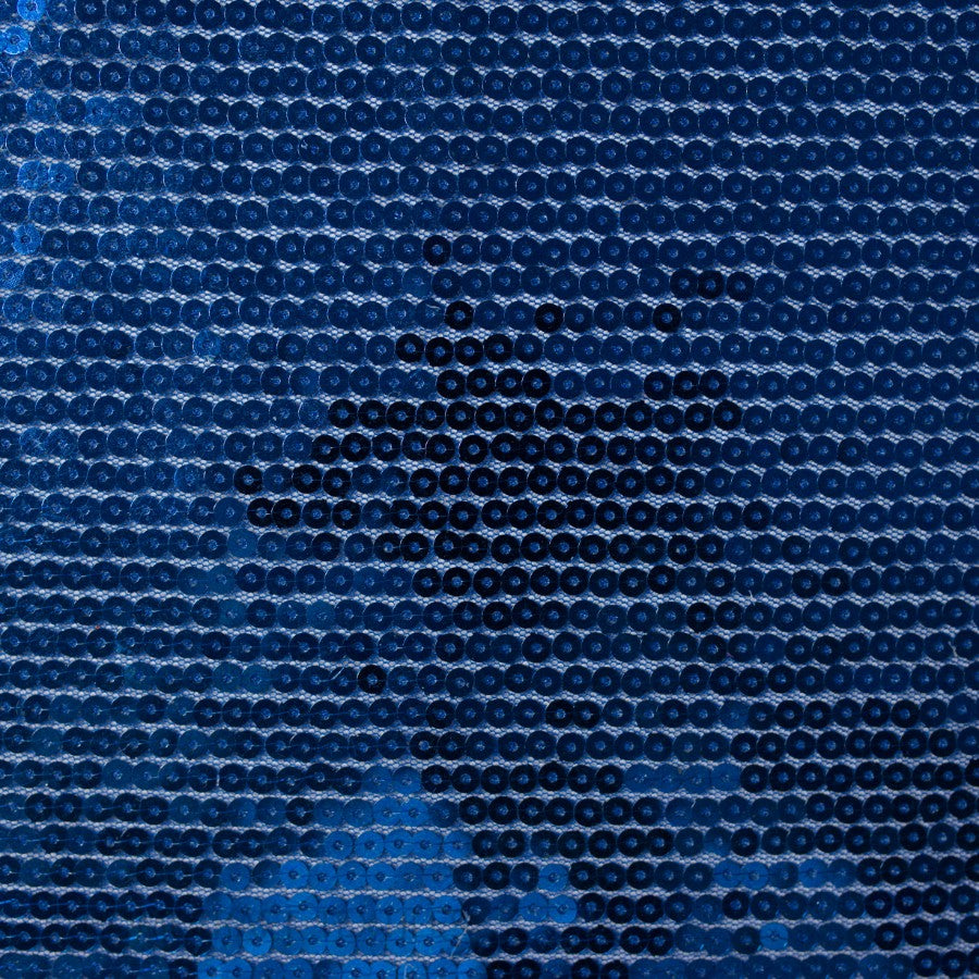 Sequins Fabric