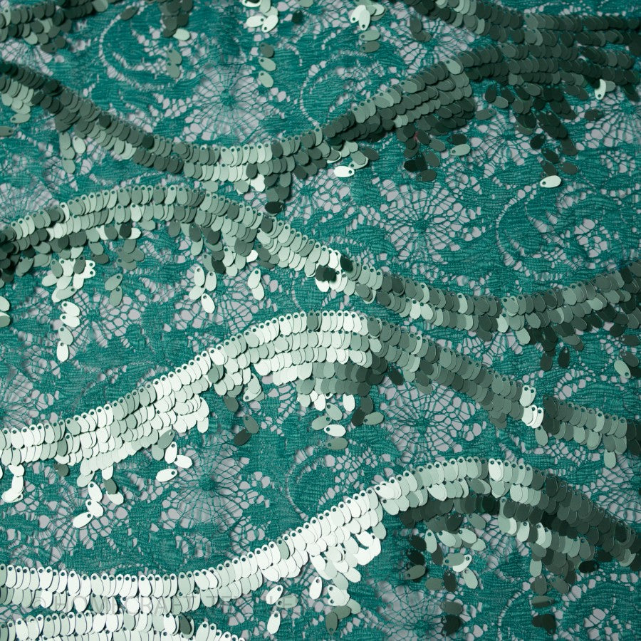 Sequin Raschel Lace