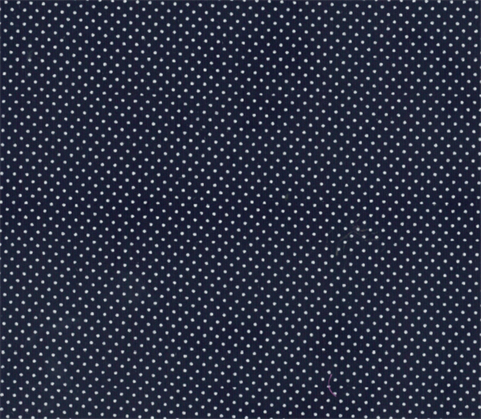 Micro Polka Dot Cotton Print
