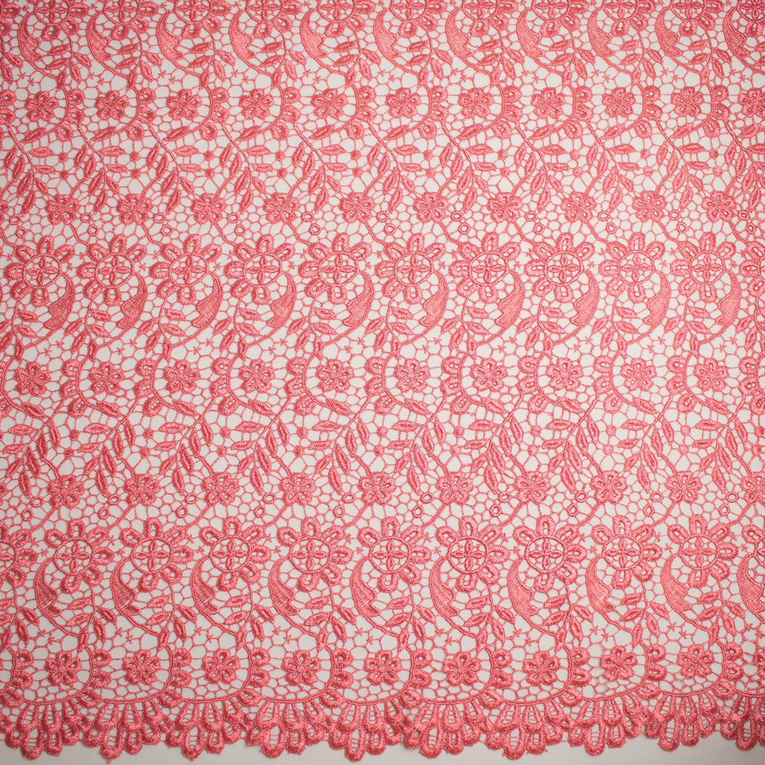Guipure Lace Col-Coral Pink