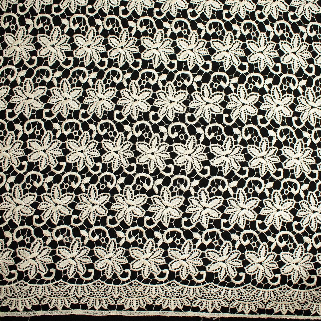 Guipure Lace Col-Cream