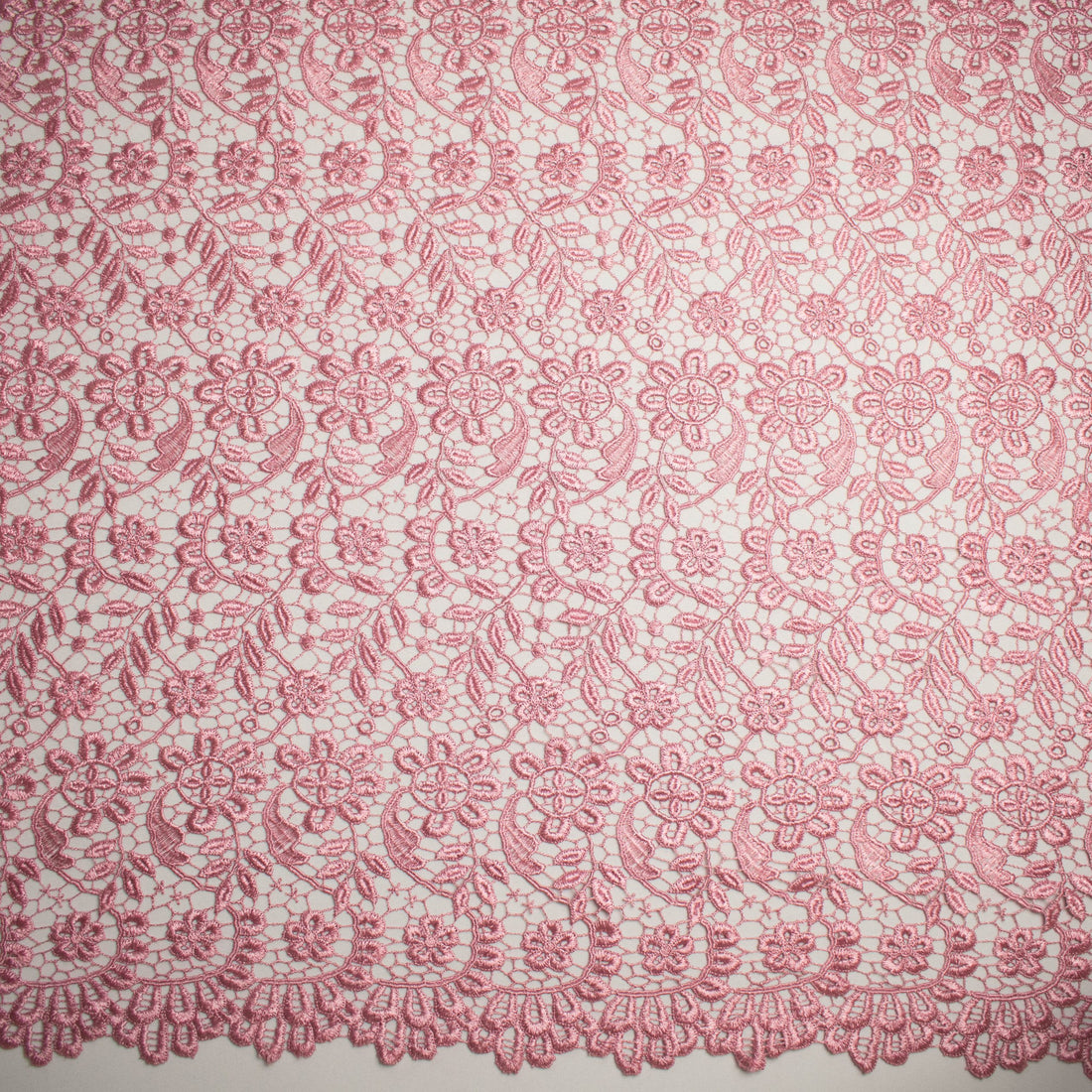 Guipure Lace Col-Dusty Pink