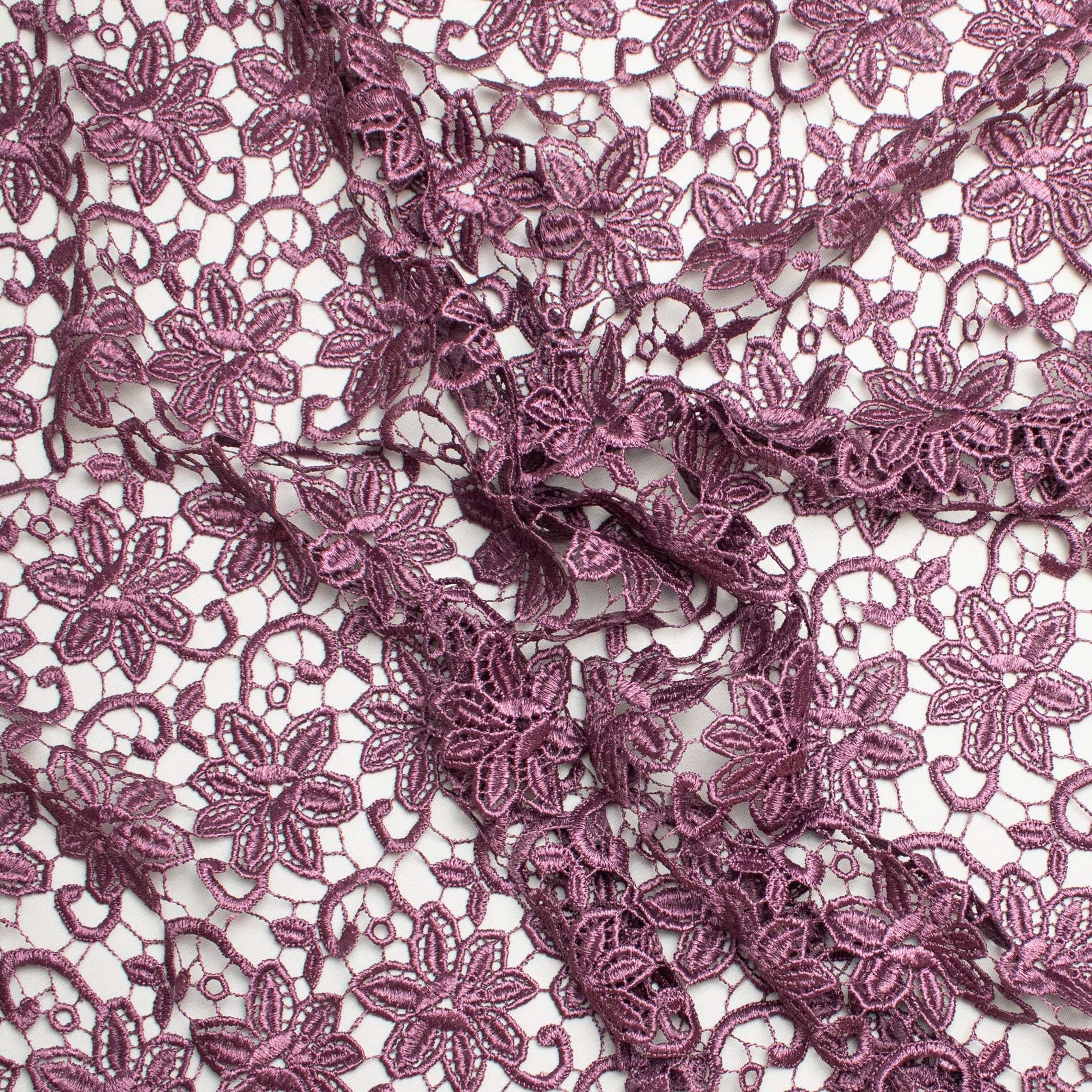 Guipure Lace Col-Grape