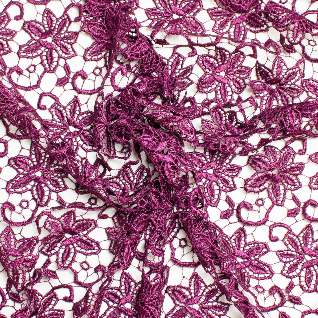 Guipure Lace Col-Plum