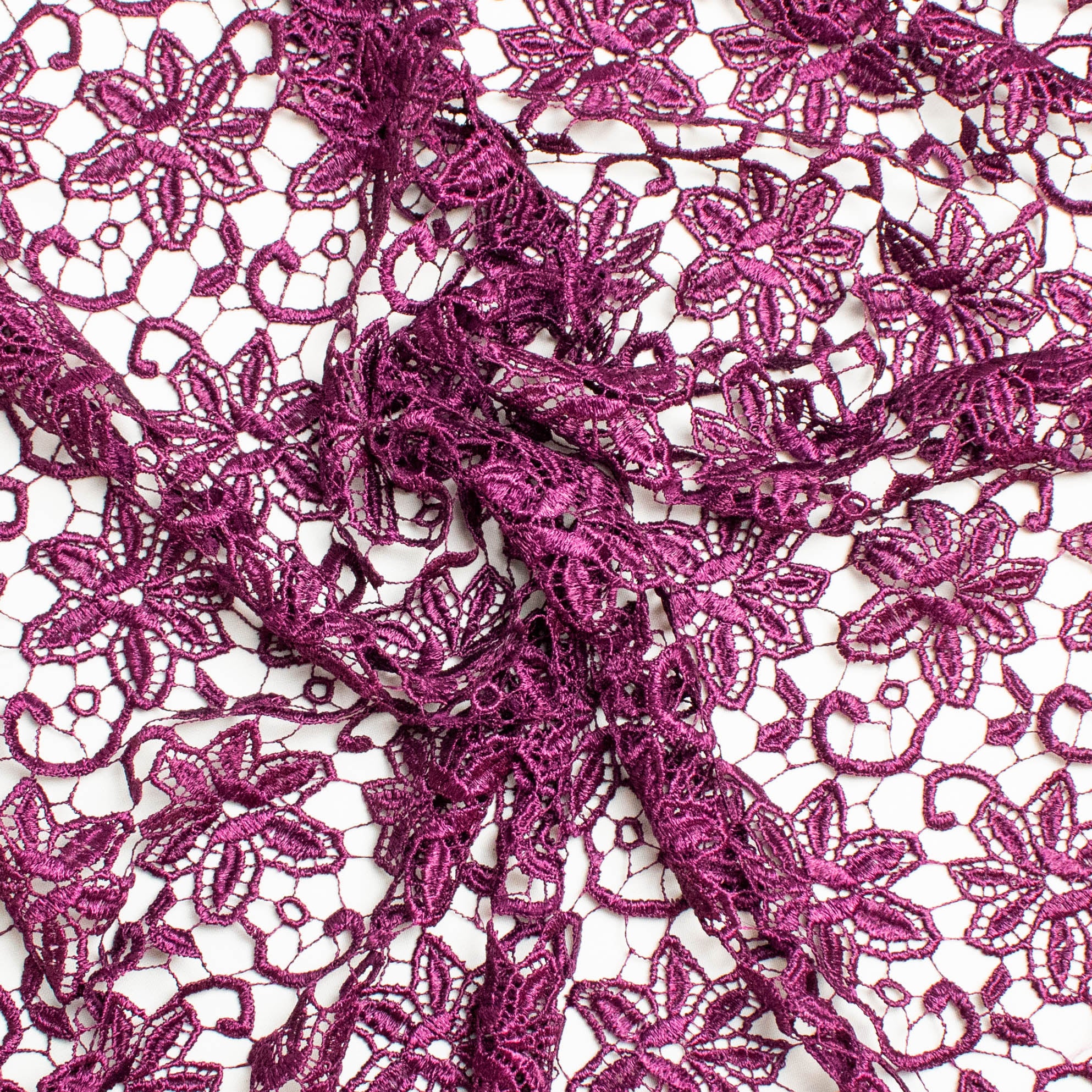 Guipure Lace Col-Plum