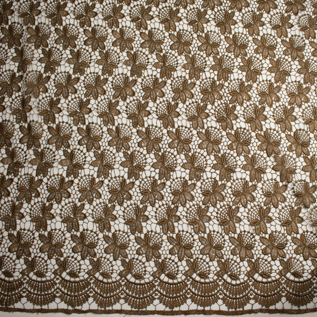 Guipure Lace Design 714518 Cocoa