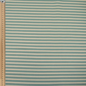 Aqua Natural Medium Stripe Cotton Canvas Print