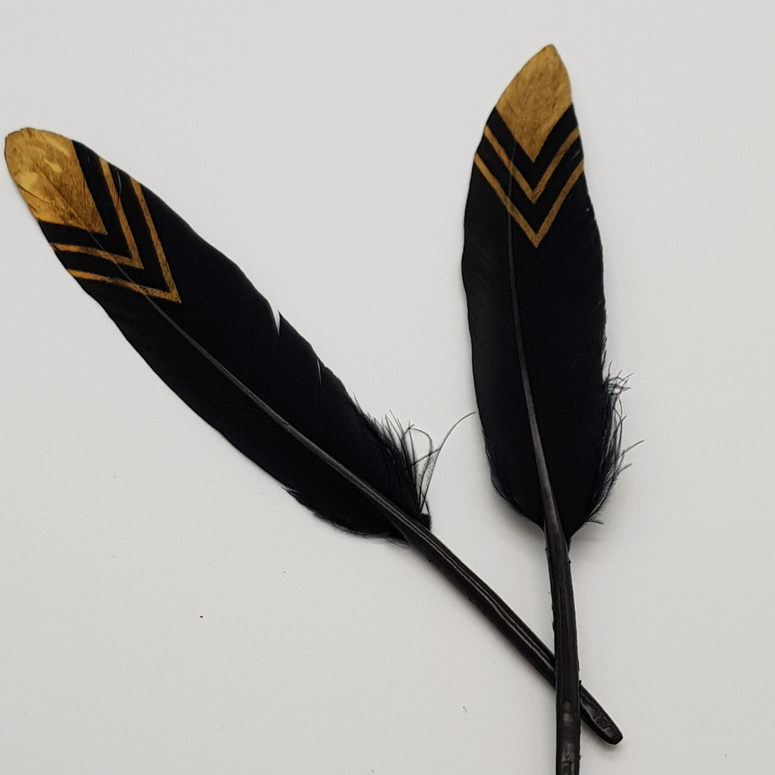 15cm Ostrich Feathers