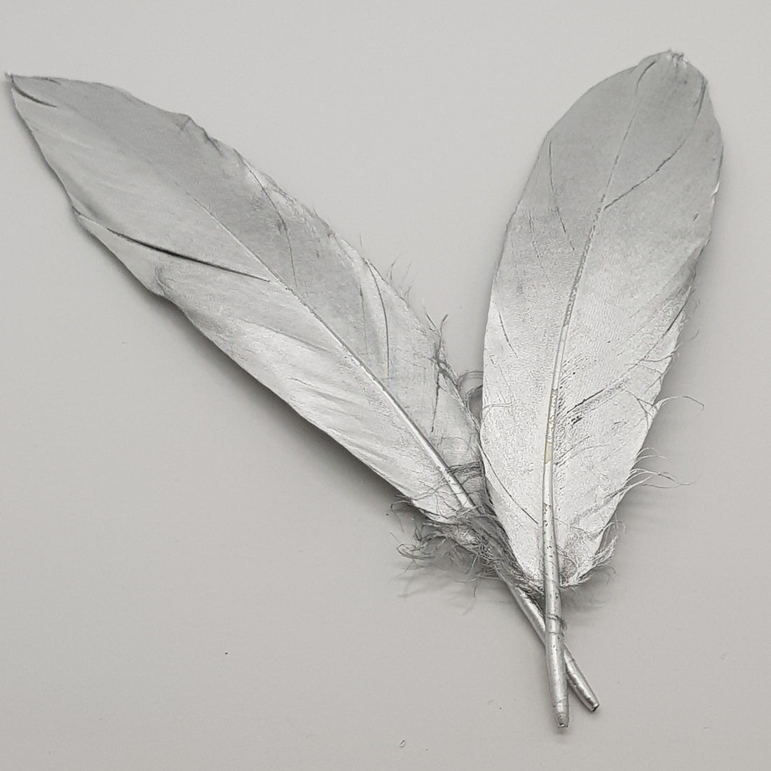 18cm Ostrich Feathers