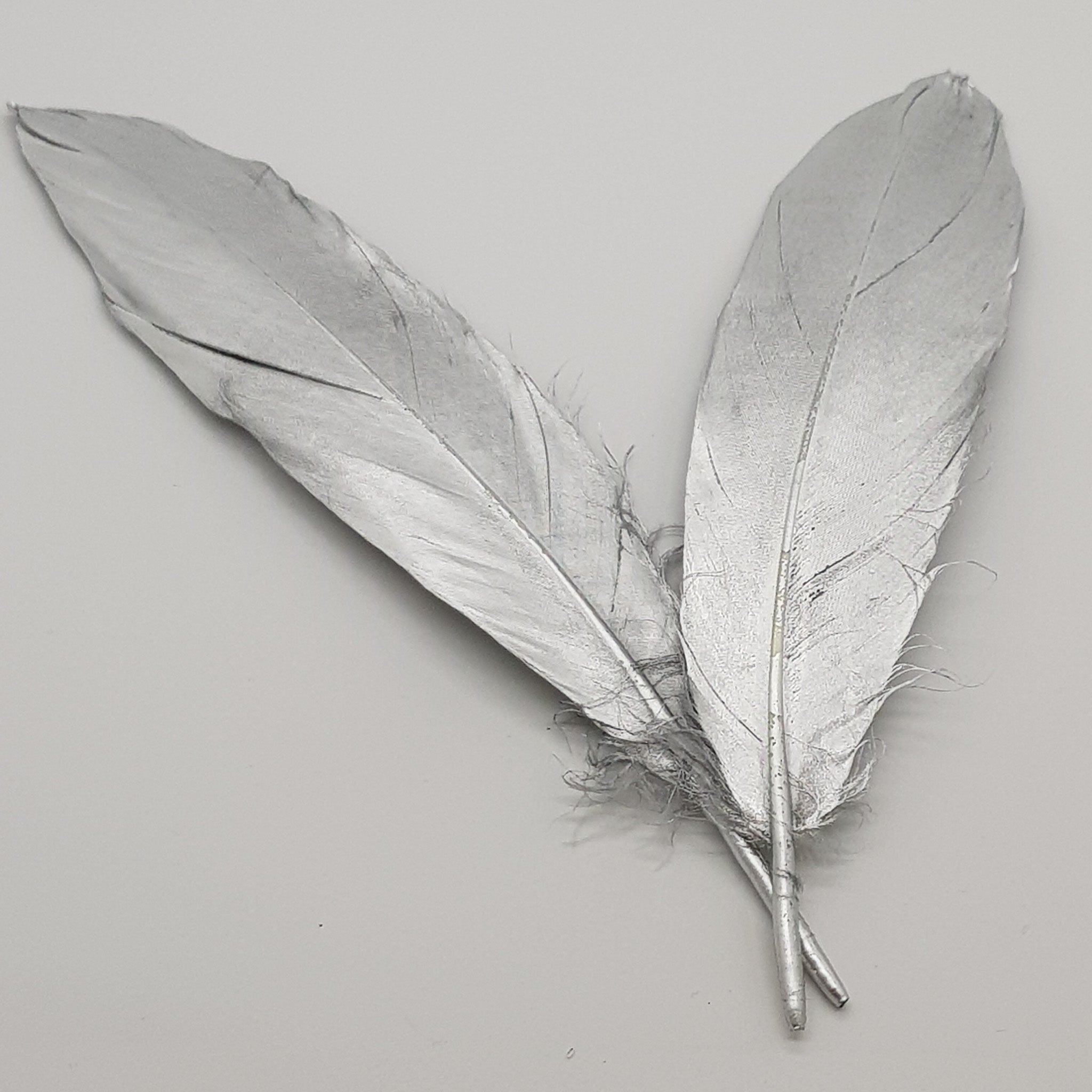 18cm Ostrich Feathers