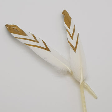 15cm Ostrich Feathers