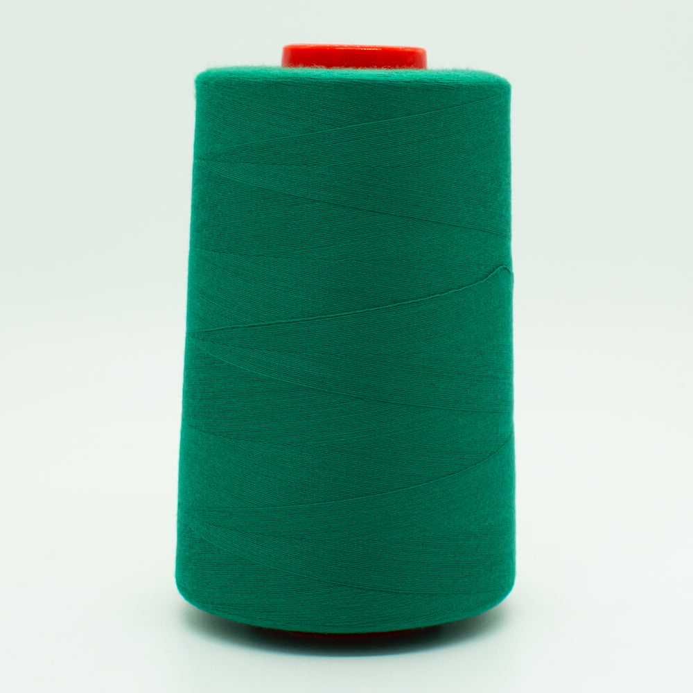 5000M Polyester Overlocking Thread Collection-2