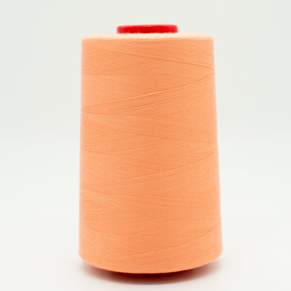 5000M Polyester Overlocking Thread Collection-1