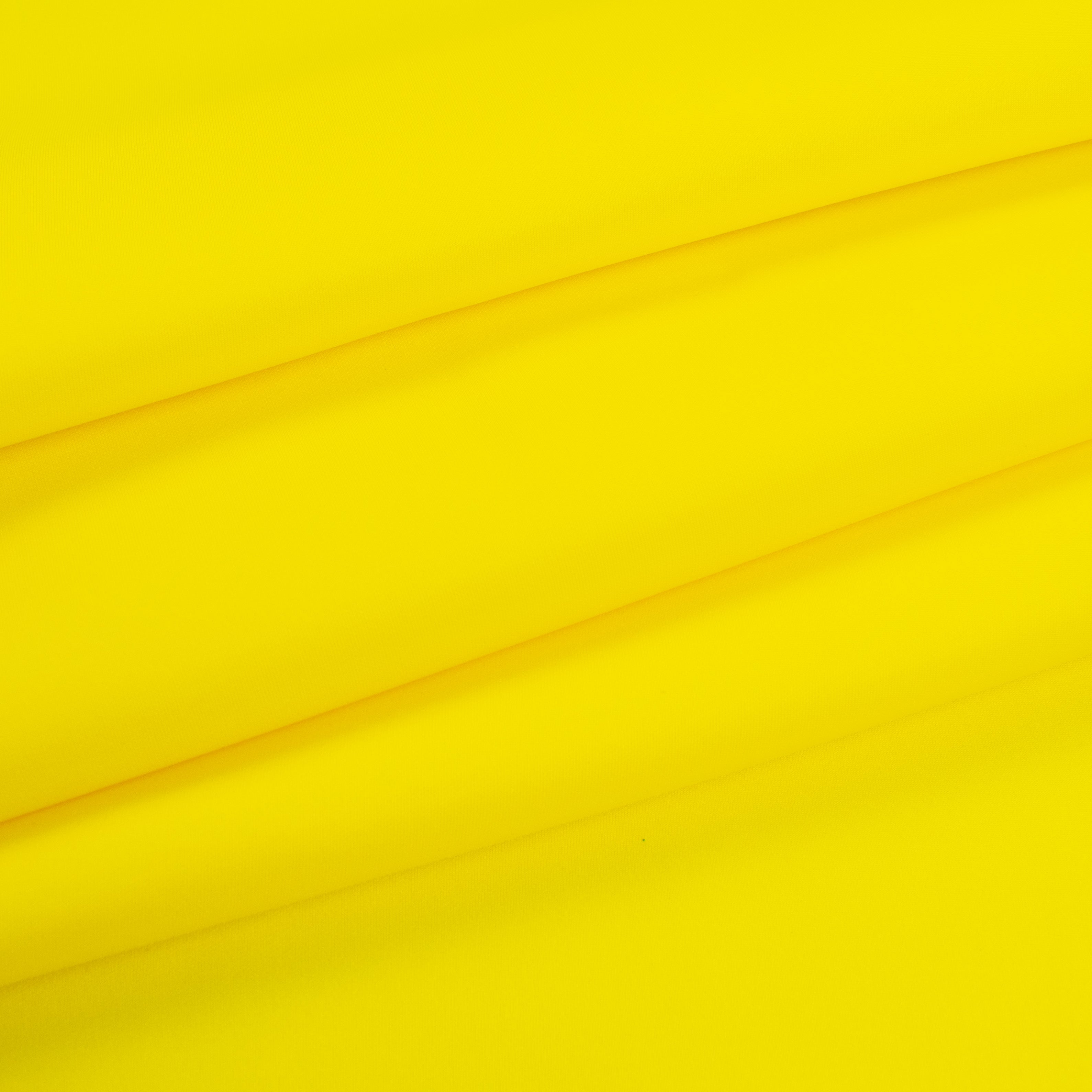 Neoprene/Ponte Scuba Knit