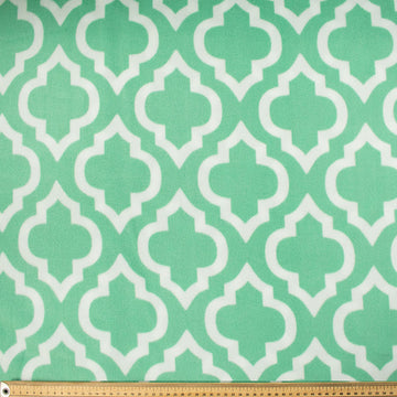 White Trellis Pattern on Mint Green Printed Polar Fleece DSN #12