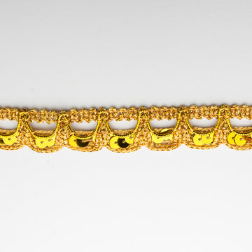 Sparkly Metallic Gold/Silver Trim