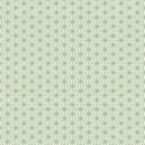 Stof Fabrics Quilters Basic Harmony Ginghams on Light Green Cotton Prints