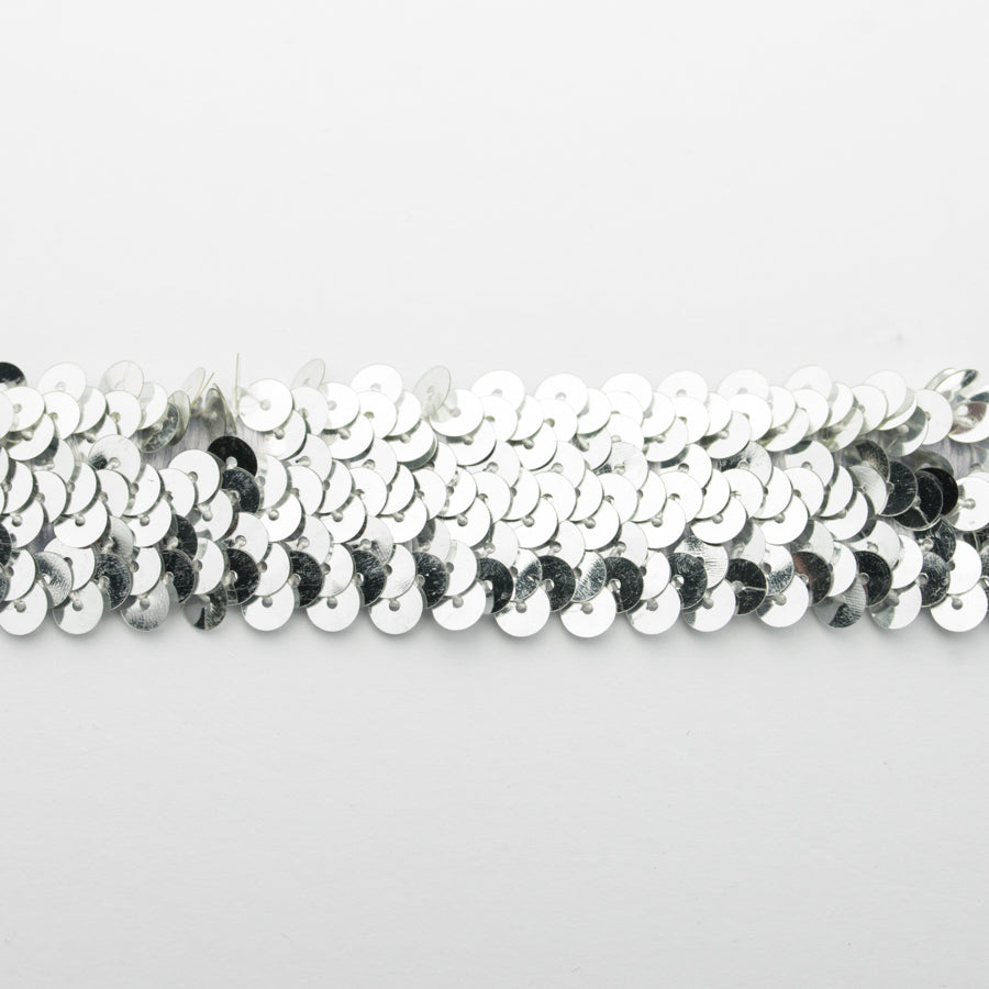 Stretch Sequin Trim 2-Row
