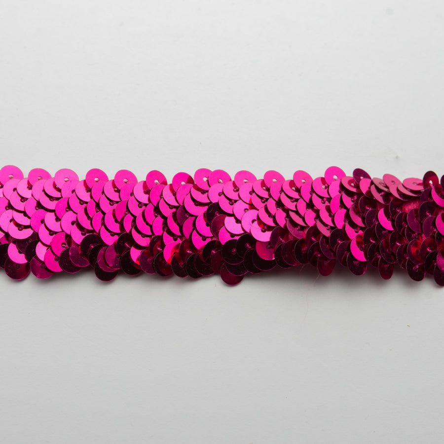 Stretch Sequin Trim 2-Row